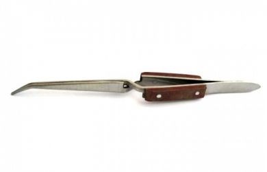 Pinza