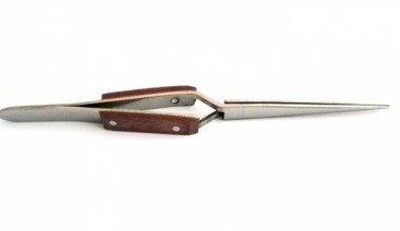 Pinza