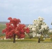 2 Arboles en flor