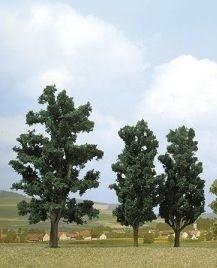 Set 3 hayas