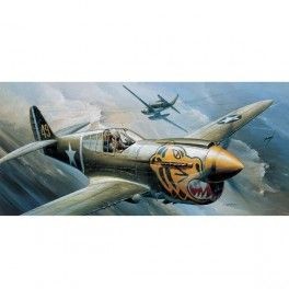 Avión "Warhawk" P-40E  Escala 1/72