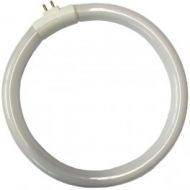 Tubo Fluorescente para Lupa 19531