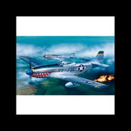 AVIÓN F-51D MUSTANG 1:72