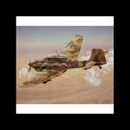 AVIÓN JU 87 B-2/R-2 STUKA 1:72