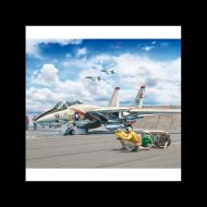 AVIÓN F-14A TOMCAT 50TH ANNIVERSARY 1:72