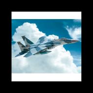 AVIÓN F-15C EAGLE 1:72