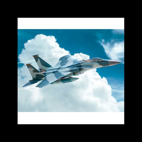 AVIÓN F-15C EAGLE 1:72