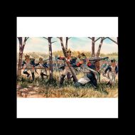 FIG. HISTÓRICAS FRENCH INFANTRY (NAP. WARS) 1:72