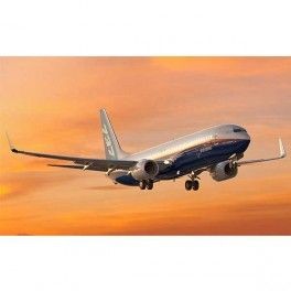 Avión Boeing 737-800 escala 1:288