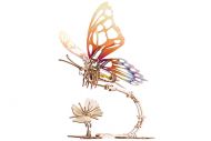 Mariposa