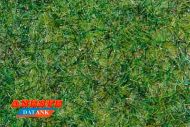Césped verde hierva