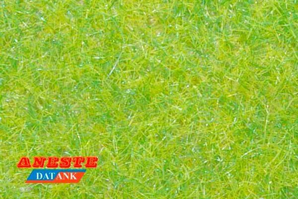 Césped verde claro