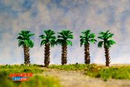 Palmeras 50 mm