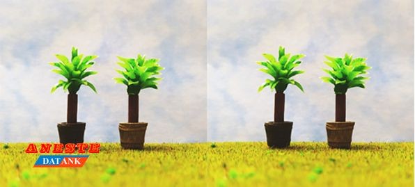 Macetón cubo planta verde vivo