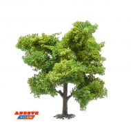 Roble