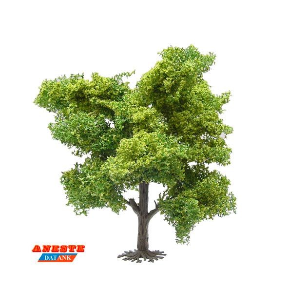 Roble